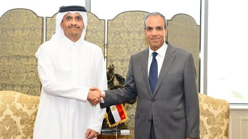 وزيري خارجية مصر