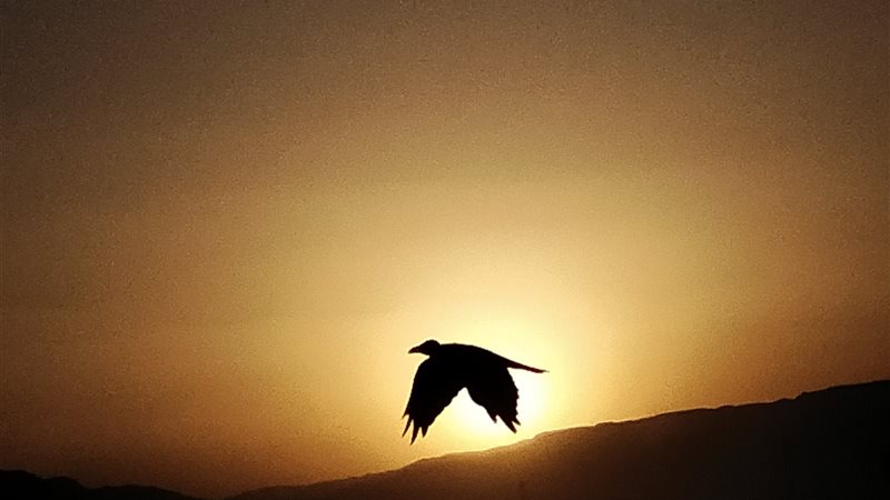 منظر الغروب علي ممشي أهل السويس 