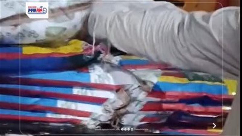 المضبوطات