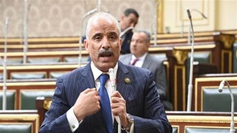 النائب عيد حماد،