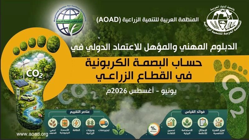 الدبلوم المهني 