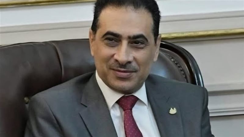 نائب جامعة القاهرة