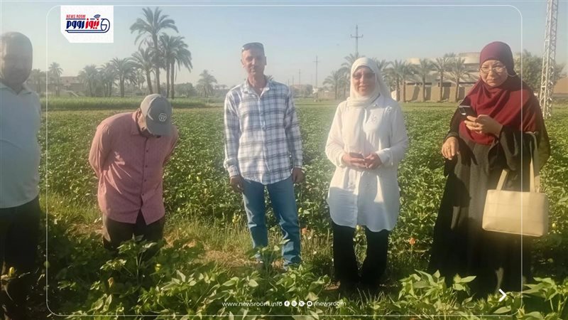 زراعة الفيوم 
