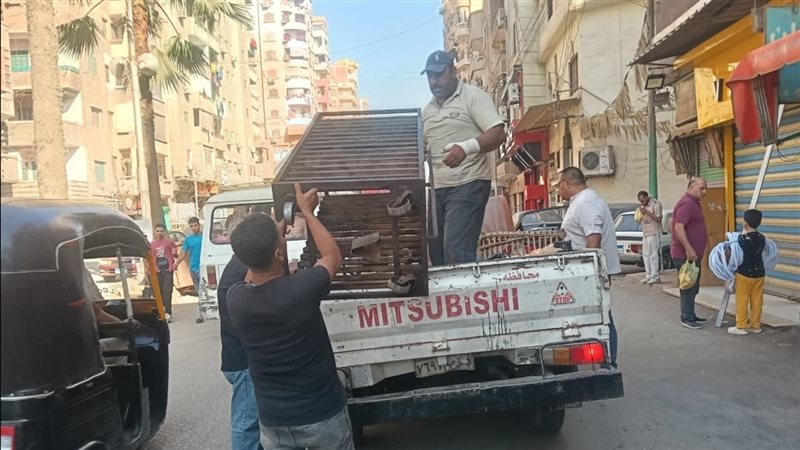 جانب من الحملات