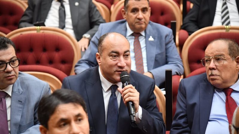 عمرو رشاد 