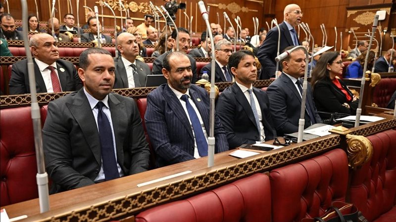 مجلس الشيوخ