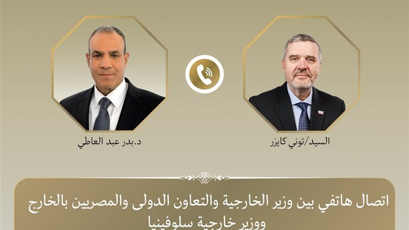 وزيرا خارجية مصر