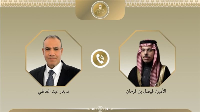 وزيرا خارجية مصر