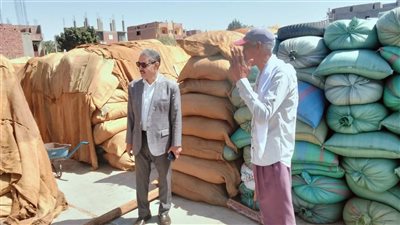 محافظ أسيوط: استلام 237 ألفًا و344 طنًا من القمح المحلي منذ انطلاق الموسم 