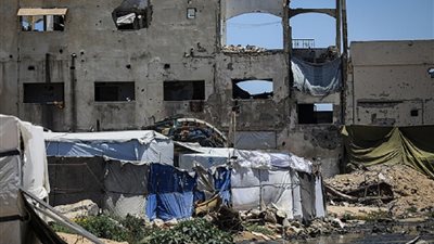 فاينانشال تايمز: تفاقم انتشار القوارض في غزة وسط تراكم الأنقاض والجثث