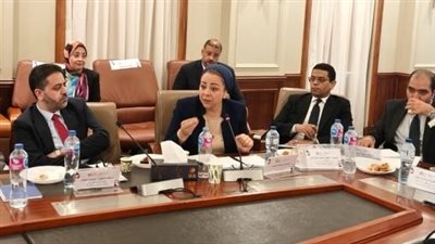 قبل إصدار أي قانون.. نهاد أبو القمصان تكشف أهمية «قياس الأثر التشريعي»