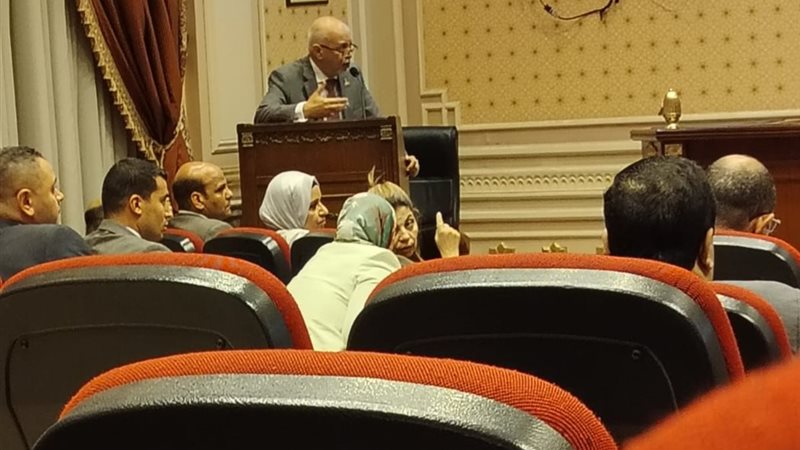 النائب حازم الجندي
