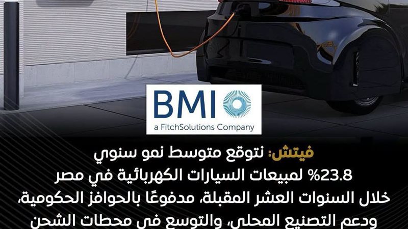  مؤسسة «فيتش سولوشنز»