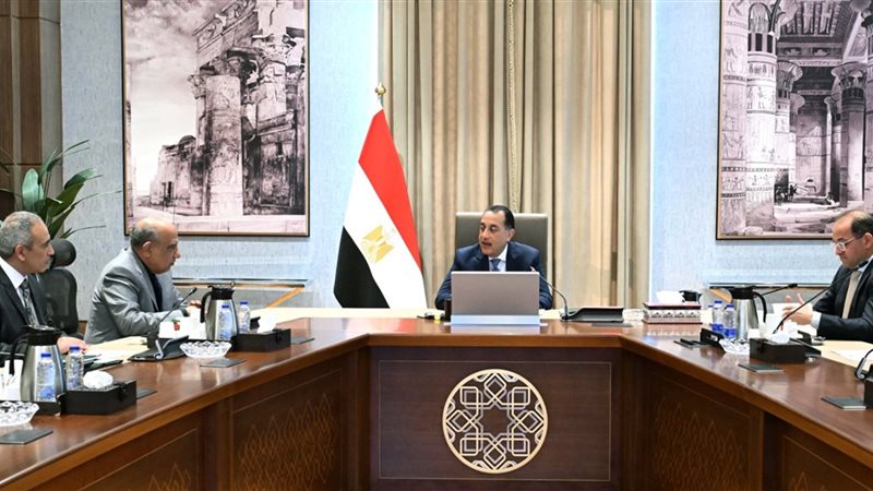 مدبولي، محمود عصمت،