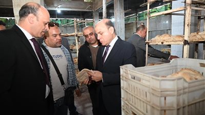 محافظ الغربية يتابع نتائج الحملات التموينية وسلامة الغذاء بقريتي كُتامة وشفا