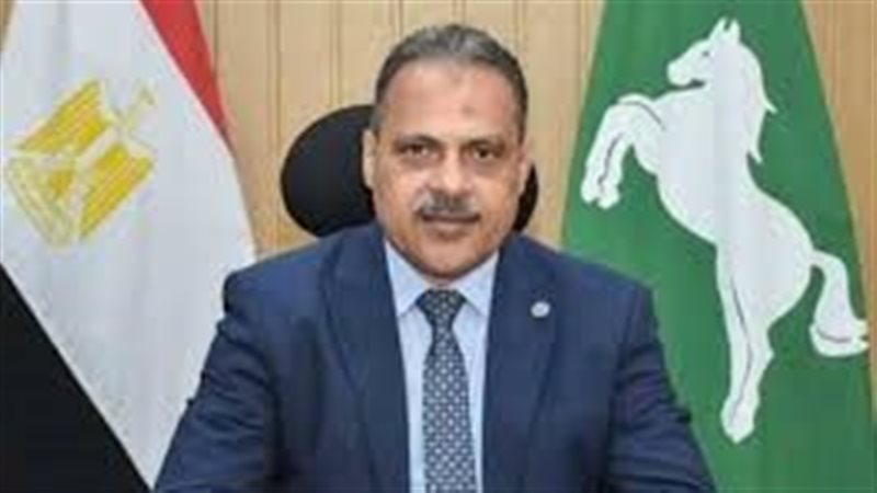 محافظ الشرقية