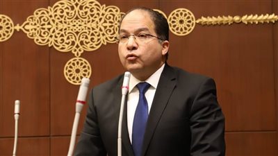 نائب: تجاوز الصادرات الزراعية 5 ملايين طن إنجاز اقتصادي يعزز الميزان التجاري