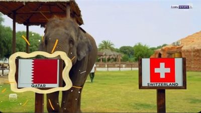 الفيل يتوقع فوز قطر على سويسرا الليلة في كأس العالم 2026