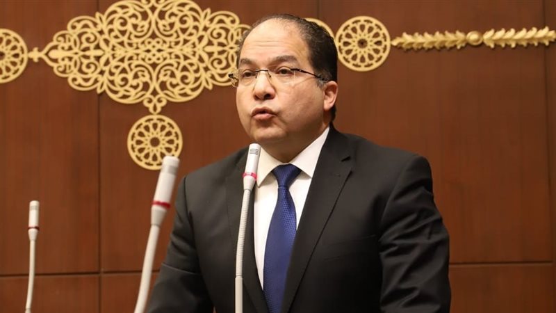  النائب عادل اللمعى