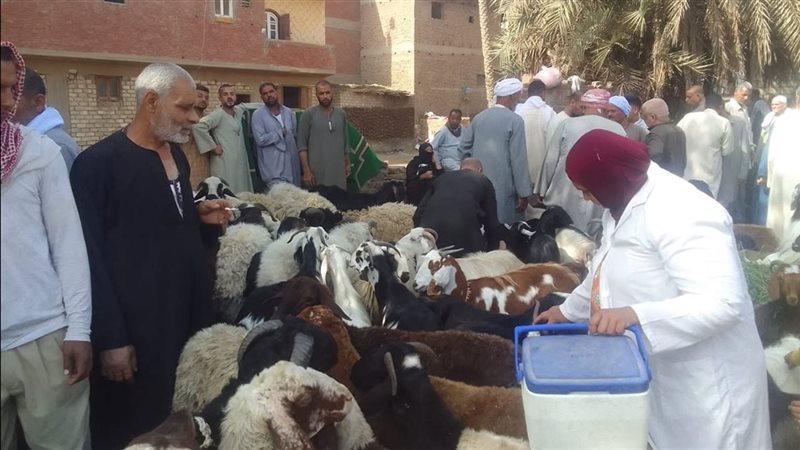 جانب من الحملة