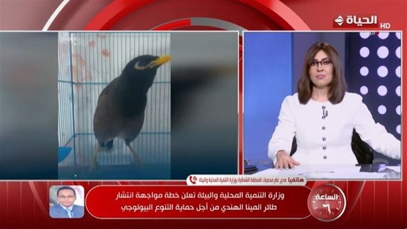 الساعة 6