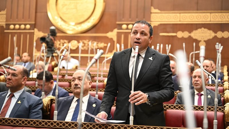 النائب عادل السكري