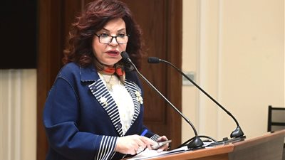 آمال عبد الحميد: خطة النواب تحسم تعديلات الضريبة على الدخل الأسبوع المقبل