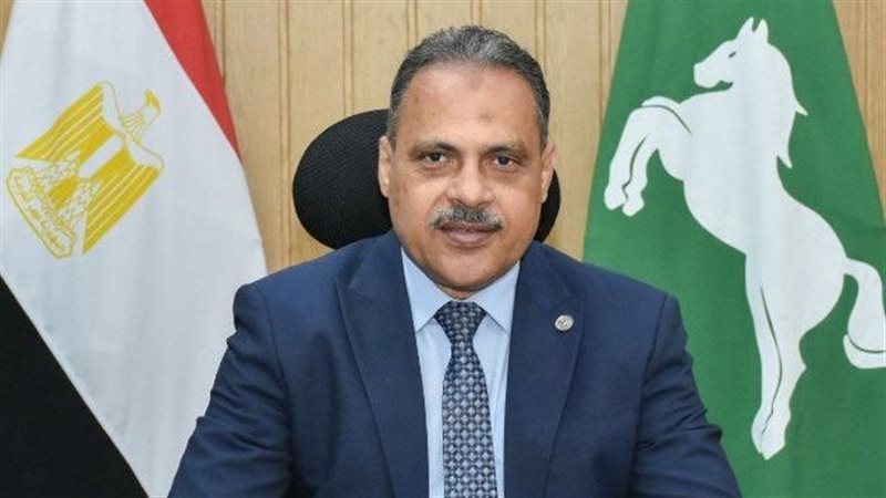 محافظ الشرقية
