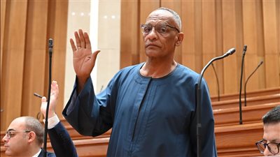 نائب يطالب بإنشاء محطة مياه شرب جديدة بقرية المنصورية بمحافظة أسوان