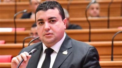  شادي الكومي: انضمام مصرلاتفاقية التجارة التفصيلية يصب في مصلحة الدولة المصري