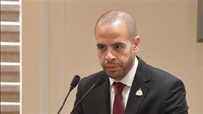 سالمان السيوطي: الدولة المصرية تولي اهتماما كبيراً بالبيئة