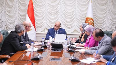 وزير العمل يبحث مع «GIZ» تطوير مشروع الدخول إلى سوق العمل وتعزيز التشغيل