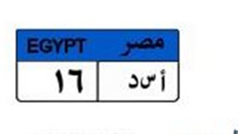 لوحة مميزة 