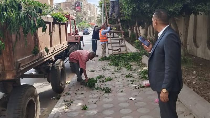 رئيس مدينة دمنهور