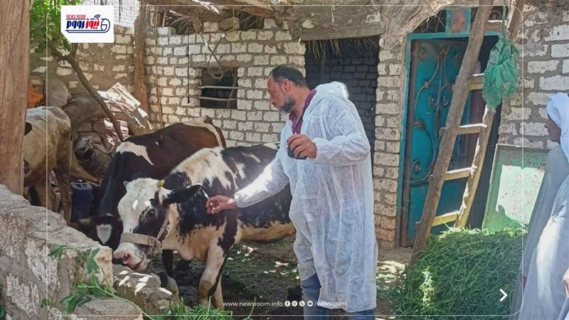 بيطري المنيا 