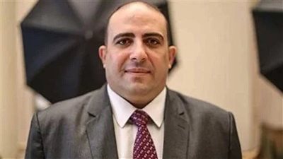 محمد سليم: مشروعات الربط الإفريقي تدعم التنمية الصناعية والزراعية في أفريقيا