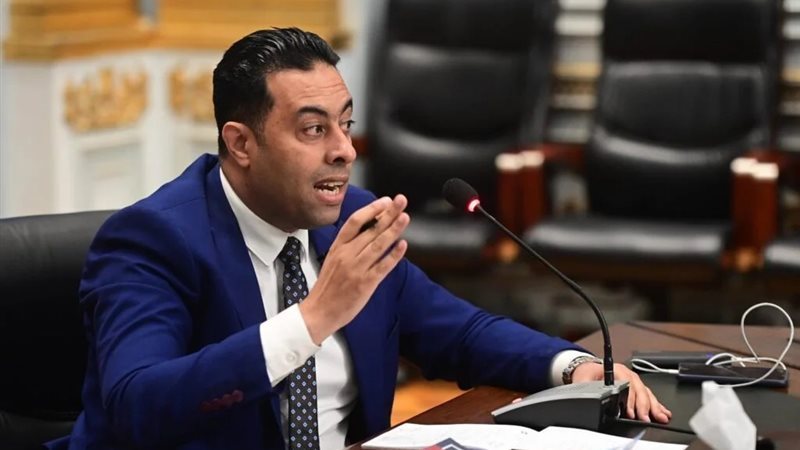 النائب احمد فرغلي