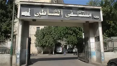 «أطباء الإسكندرية»: لم نتلقى شكاوى من أطباء الامتياز بالشاطبي منذ 6 سنوات|خاص