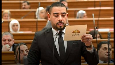 الشافعي: لقاء السيسي وبن زايد يؤكد قوة الشراكة الاستراتيجية بين مصر والإمارات