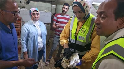 سلامة الغذاء: إعدام أغذية فاسدة وتحرير 5 محاضر ضبط خلال حملة موسعة بالقليوبية