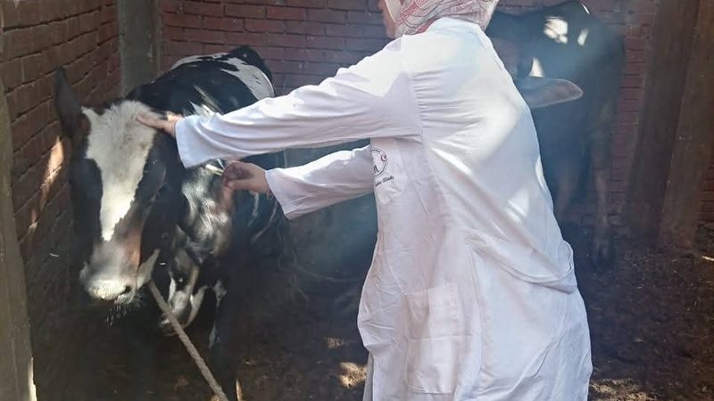 جانب من الفعالية
