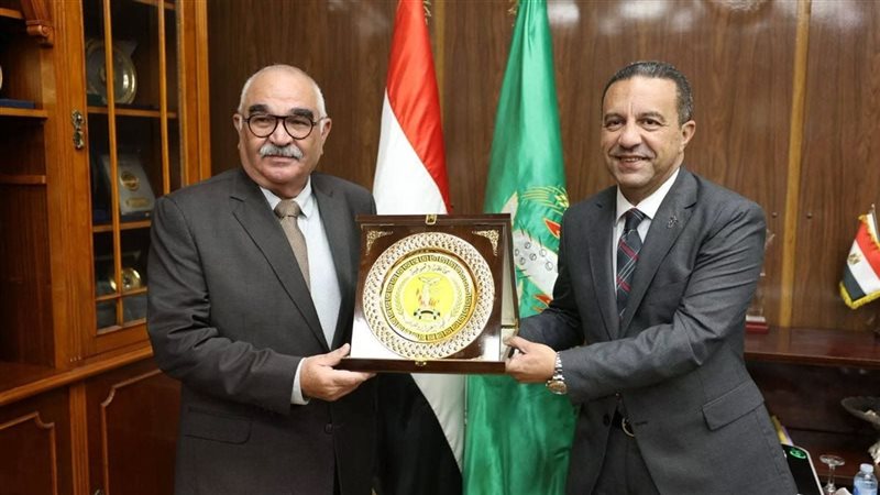 المستشار الدكتور