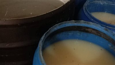 ضبط 500 كجم ألبان فاسدة و290 كجم زبدة مجهولة المصدر بكفر الشيخ