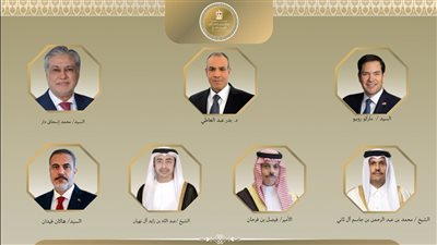 وزير الخارجية يبحث التطورات الإقليمية مع أمريكا وباكستان وقطر والسعودية