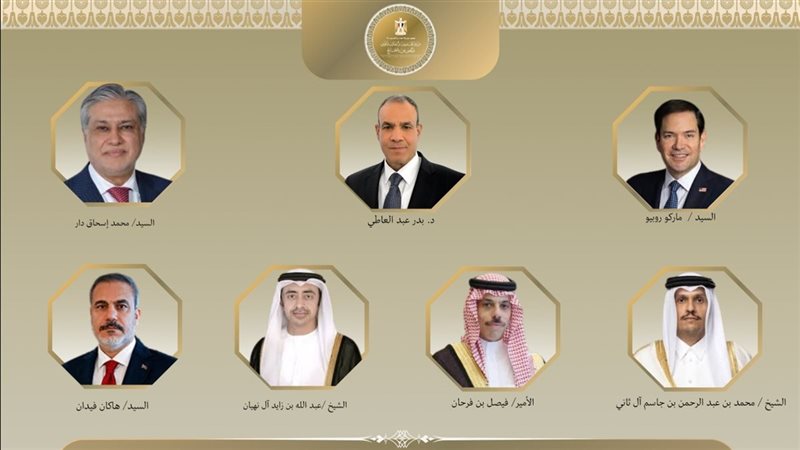 وزير الخارجية يبحث