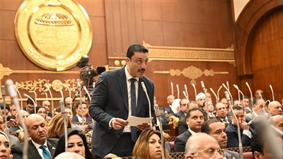 طلب مناقشة عامة في مجلس الشيوخ لدعم المشروعات الصغيرة والمتوسطة