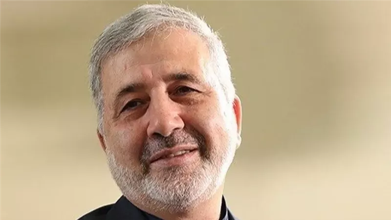 السفير الإيراني لدى