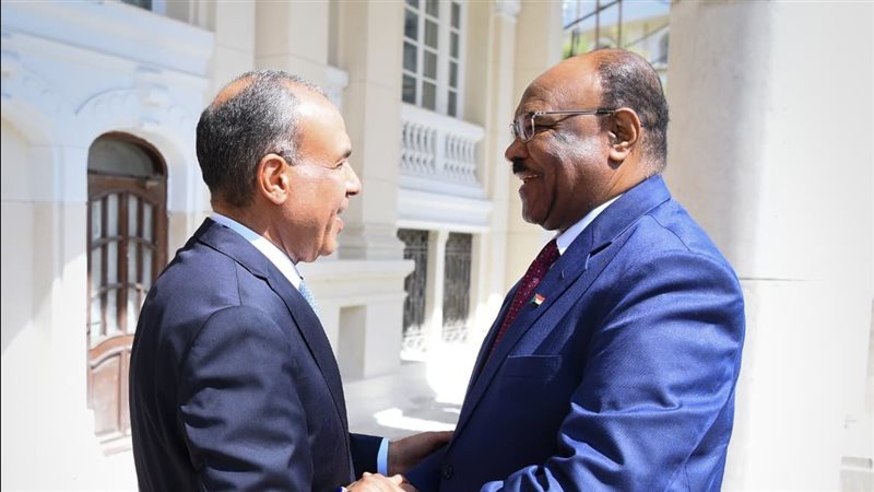 وزيرا خارجية مصر