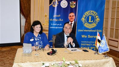 علاء يوسف: الدبلوماسية والإعلام ركيزتان لتعزيز مكانة الدولة وصون مصالحها
