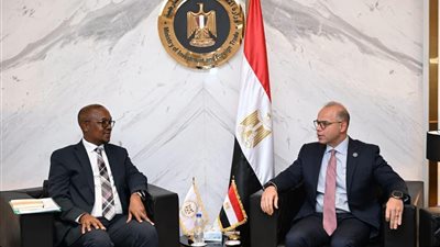 مصر وجنوب أفريقيا تبحثان تعزيز التكامل الاقتصادي والتصنيع المشترك